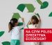 dyrektywa ecodesign co to